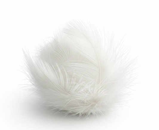 Apa Itu Fill Power? Penjelasan Mudah untuk Pemula